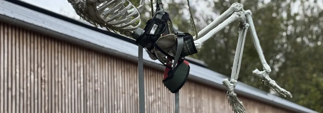 Sortie Halloween : Forêt et Nuit de la Terreur au Sherwood Parc